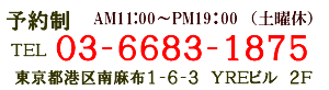 東京都港区南麻布1-6-3YREビル2F　036683-1875
